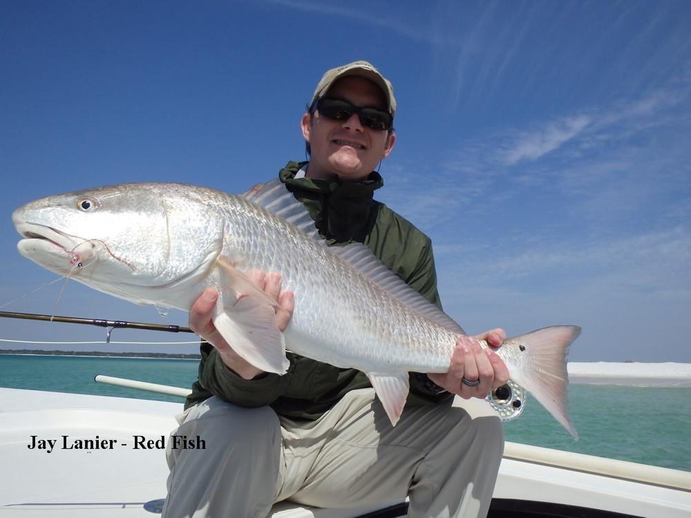 redfish got hungry...finally! Normally, by the end of March the water temp is well into the 70's, but not this year.