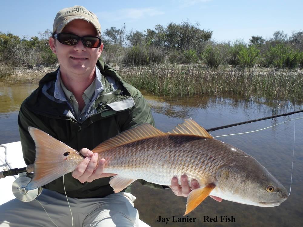 There has been a nice school of bull redfish east of the pass in the vicinity of the palm tree all month.