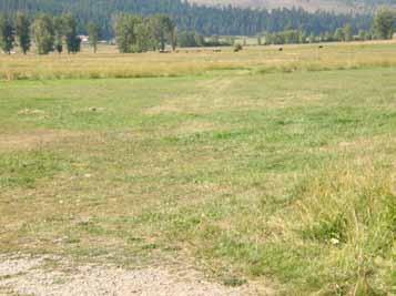 irrigated meadow with approximately 4,500 feet of East