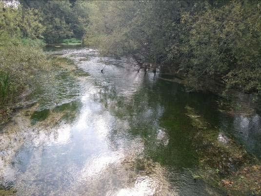 A view from the access point near the bottom of beat1. Good quality trout habitat.