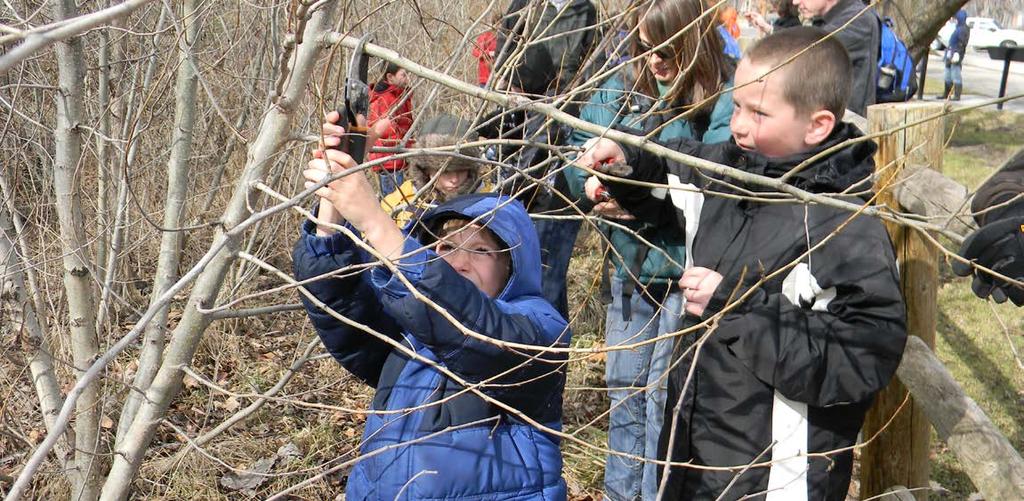 Riparian Buffer Projects Youth can do meaningful work in riparian buffers, where their enthusiasm turns a simple project into a fascinating learning experience, and their sheer numbers make the work
