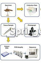 DNA Barcoding Workflow Image source: http://www.