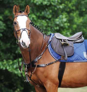 breastplate with a removable martingale attachment was developed
