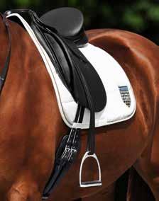 These stirrup leathers with integrated nylon inserts will never stretch,