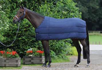 The water-repellent Travel Boots with reliable hoof pad protection can be put on your horse