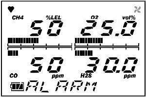 (Beep) Date/Time Display Battery Voltage Display Gas Name
