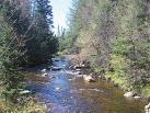 NY STATE LAND and CAMPS For SPORTSMAN North woods Trapper s Cabin 5 Acres/New Cabin $19,900 or $170.59/mo. State land, lakes, streams and snowmobile trail systems close by.