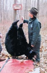 62 2002 Hunting Issue PROGRAMS & RESEARCH Vol. 16, No. 1 August 2002 Black Bears in New Jersey By Patrick C.