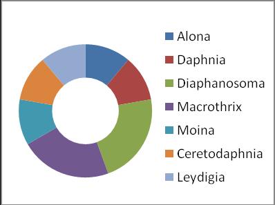 depicted in Figs. 1-4. Zooplankton showed a dominant position of Cladoceran members (31.04%), followed by Copepoda (27.58%), Rotifera (24.13%) and Protozoa (17.24%). Rajagopal et al.