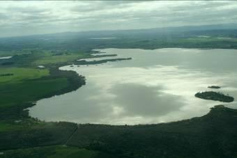 7 Figure 2. Aerial photo of Lake Waikare looking north in August, 27. Photo: B. Hicks.
