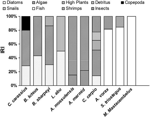Fish assemblage in the Chybayish marsh, Southern Iraq 69 Fig. 2. Relative importance index (IRI) of items in the diet of fish species in Chybayish marsh, Iraq during 2005-2006. Fig. 3.