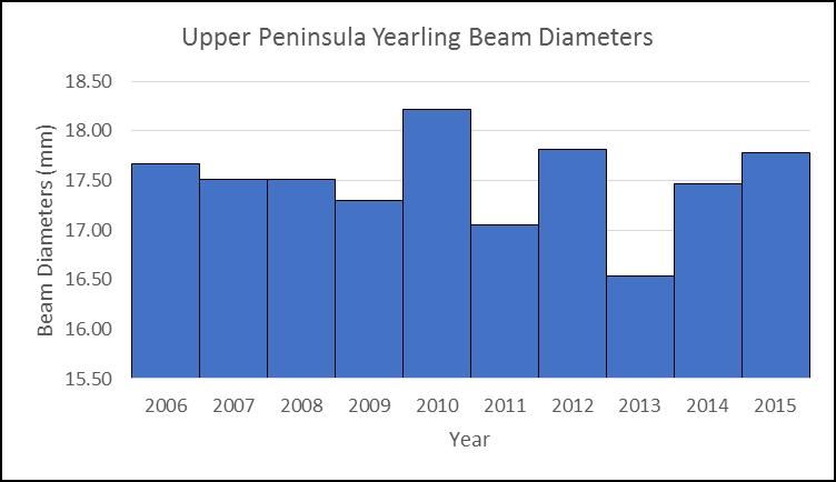 Figure 4. Upper Peninsula Yearling Beam Diameters. Deer Management Recommendations We recommend that DMU 249 be closed for the issuance of antlerless licenses for the next 3 year regulation cycle.