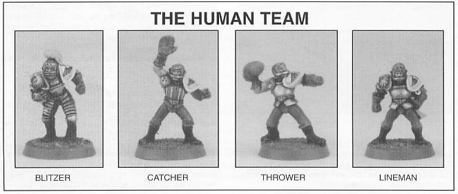 There are six different types of player in Blood Bowl: Blitzers, Catchers, Throwers, Linemen, Runners and Blockers. The teams of different races contain different combinations of players.
