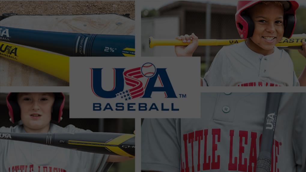 Pregame: Check player equipment Bats Baseball: USA Bat logo for aluminum or composite only, or a wood bat; 2 5/8" diameter or less; 33 or