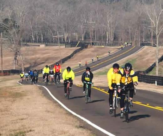 Training Rides: Options BP MS 150 Recommended Rides (Safety & Training tab/training/recommended Rides) Every weekend from January 10 th to April 10 th (except Easter) Registration fee varies; charity