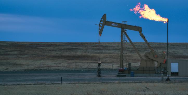 HOT ISSUES Mason Cummings VICTORY IN THE FIGHT AGAINST CLIMATE CHANGE METHANE RULE SAVED Despite heavy pressure from the oil and gas lobby, Congress failed at an attempt on May 10 to kill the Bureau