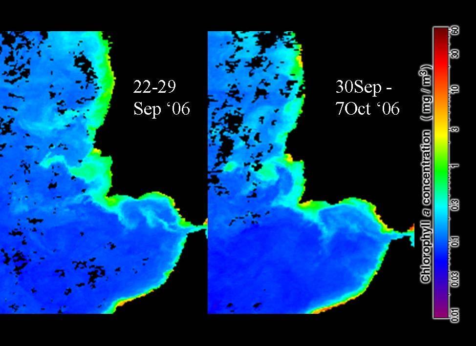 Upwelling more intense: - CSV and P sections, max chl a concentration. -Chla in the coastal zone:.3 and 3 mg m -3.