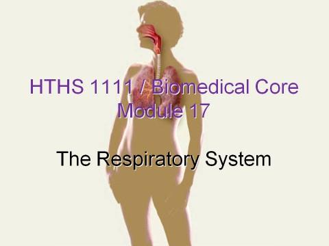 Module 17 Respiratory System Objective 1. List the functions of the respiratory system. Name the four respiratory processes. Assignment: Tortora, p.
