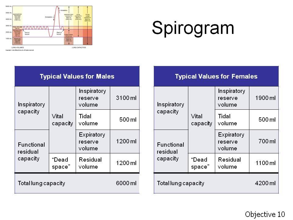 Objective 10. State the four respiratory volumes and four respiratory capacities. Identify each of these on a spirogram.