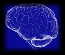 Brain Acclimatization Nervous tissue the most sensitive to low oxygen.