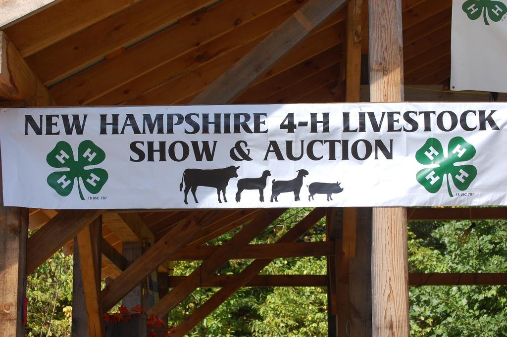 Special Prizes At The NH 4-H Livestock Show & Auction special prizes will be awarded as follows: Best Record Books To be eligible for this prize, the 4-Her must go beyond simply filling in the blanks