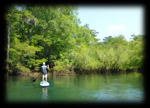 Day 6/Thursday, March 15: Morrison Springs Park to River Run Resort Paddling Miles: 15 River Run Resort is nestled on the banks of the Choctawhatchee River in Washington County and has a large
