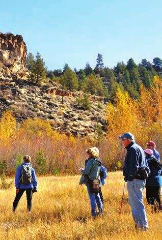 conservation hikes + a paddle wildflower walks + hikes Dig deeper into the conservation and ecology of protected lands.