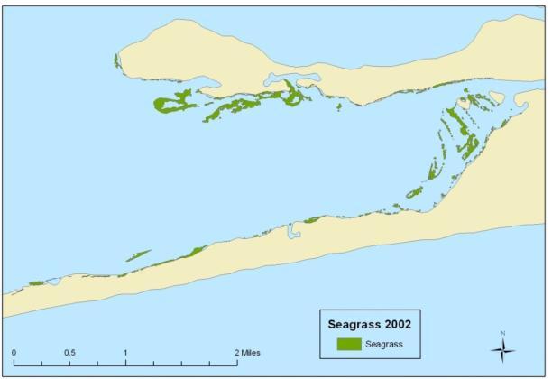 In 2002 approximately 125 acres of seagrass remained. The 2004 storm season showed few short-term effects on seagrasses.