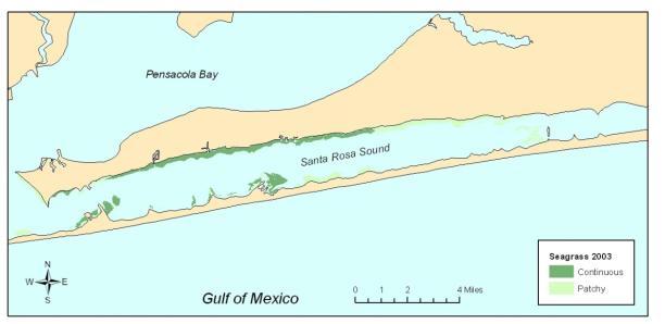 Figure 1. Seagrass cover in Santa Rosa Sound, 2003. Figure 2.