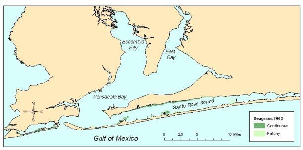 Figure 1. Seagrass cover in Pensacola Bay and Santa Rosa Sound, 2003.