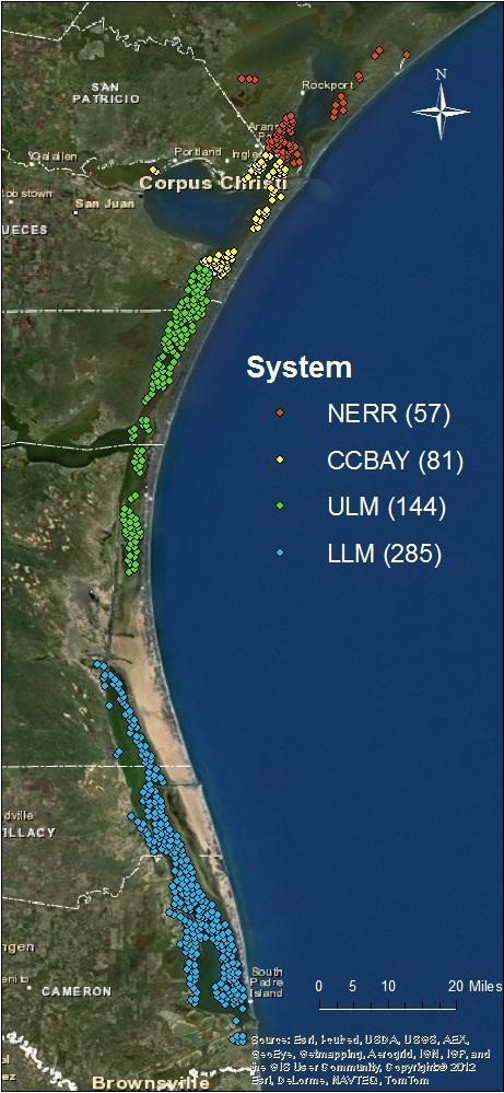 For this reason, a monitoring plan for these areas was proposed within the Seagrass Conservation Plan published by Texas Parks and Wildlife in 1999. Under the supervision of Dr.