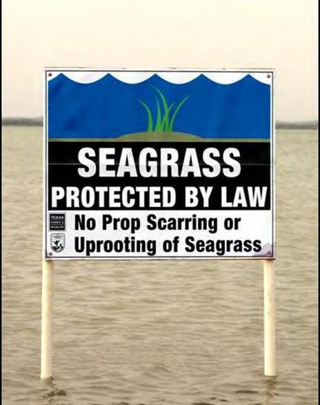Seagrass Protection Redfish Bay State Scientific Area established in 2000 Regulation prohibiting uprooting of