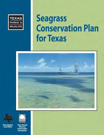 Seagrass Monitoring 2000 Water Quality Standards: seagrass propagation use added Texas Seagrass