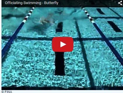 BUTTERFLY: Turn/Finish Mechanics Two hand simultaneous touch as in breaststroke separated hands. Must remain on breast until touch. No underwater recovery.