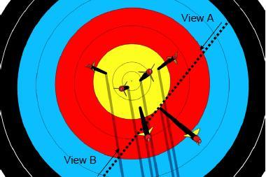 Judging Arrow Values The arrow on the bottom right of the target is very close to the line and requires a Judge to decide on the arrow value.