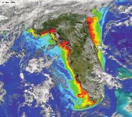 In addition to affecting species ranges, too-high water temperatures would cause a number of other problems throughout Florida s coastal regions, including extensive coral bleaching, harmful algal
