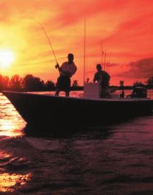 Foreword The following report, An Unfavorable Tide: Global Warming, Coastal Habitats and Sportfishing in Florida, represents a second heroic effort by the National Wildlife Federation (NWF) and the