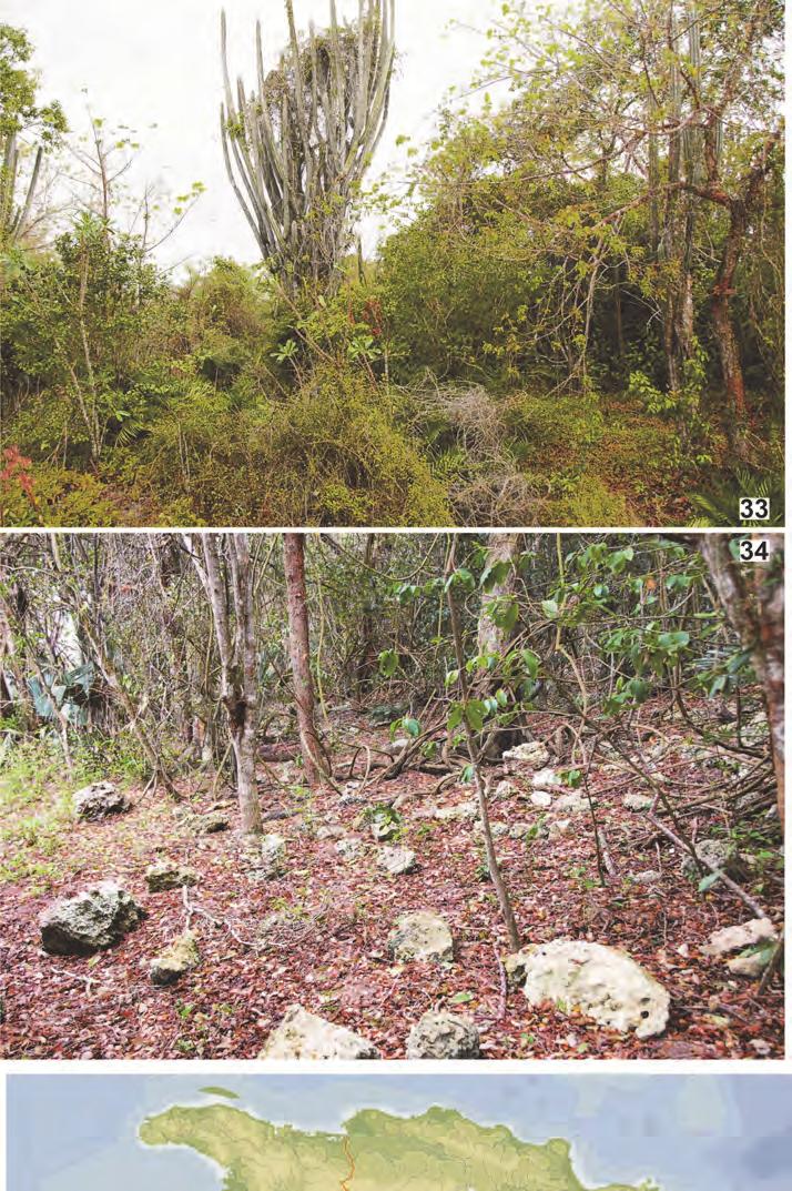 Fig. 33 34. Two views of the habitat of Centruroides altagraciae n.sp., at the type-locality. Fig. 35. Geographical distribution of Centruroides altagraciae n.sp. (black squares, white cross indicates type-locality) and its closest relative C.