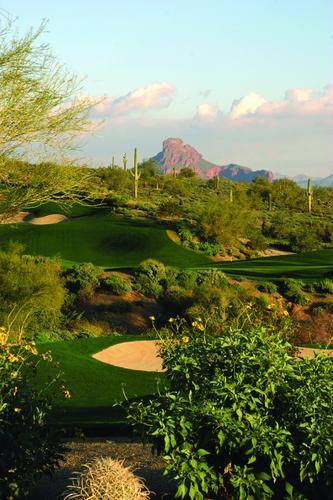 Key Definitions Local Market: respondents from the Scottsdale area Other Metros: Out of state visitors Most Active Golf Travelers: The top 1/3 of golf travelers, averaging a median of 3 golf trips