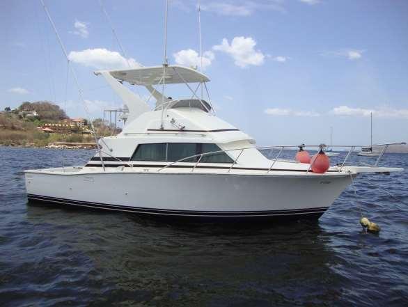 B #14 Boat 33 Bertram max 5 persons -The Boat 33is a Bertram, spacious saloon with bathroom, fly bridge and outfitted with tournament quality gear (shimano- Penn)