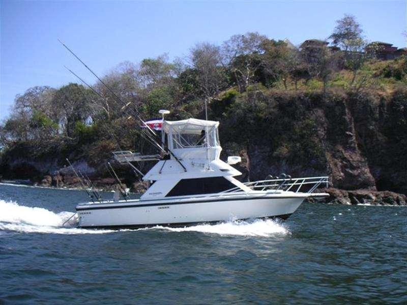 B #19 Boat 31 Phoenix max 5 persons -The Boat 31 Phoenix it has, cabin, bathroom, fly bridge, kitchen and outfitted with tournament quality gear (Shimano- Penn) and state of