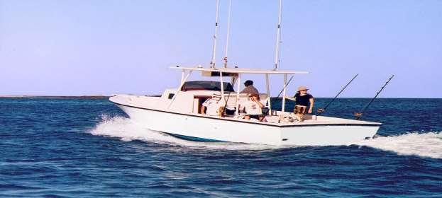 www.wahooswatersports.com Book here!! B#5 Boat 27 Escapade Max 4 Pax -Fully bilingual captain with 10 years of experience sport fishing local waters.