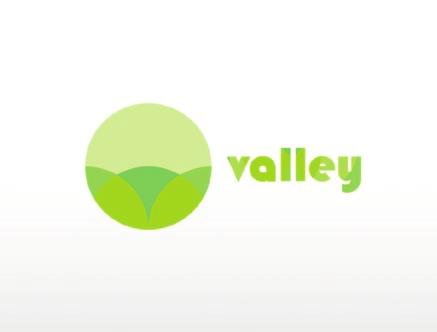 Valley Management Corporate Logo and letterhead proposal for insurance company