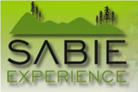 Date & Time Schedule: 16th - 19th December 2010 The Sabie Experience is a four-day MTB stage race where the stages begin and end at the York Timbers sports grounds every day.