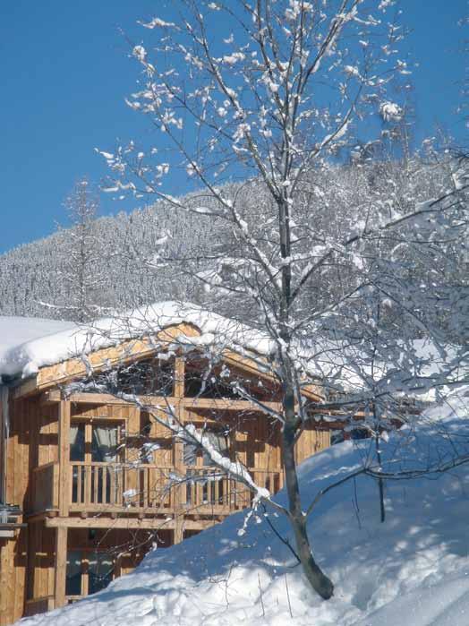 Chalet Les ormes 4.15pm Bourg-en-Bress A40 E21 GENEVA SWITZERLAND Travel Fly and Transfer We can arrange transfers to and from the airports to your chalet door, either by road or helicopter.