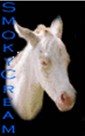 dilution genes added becomes: A Black horse that received one copy of the crème gene from