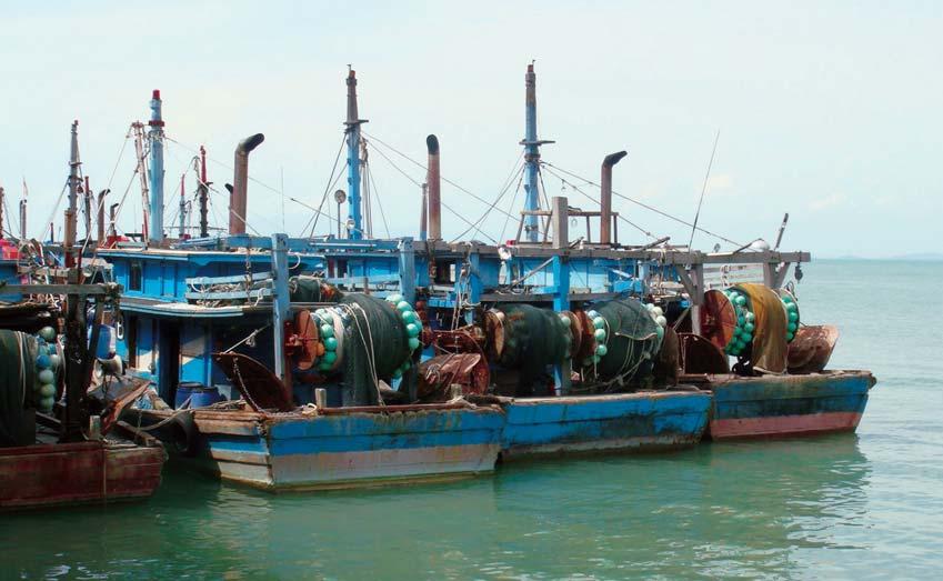 tropical trawl fisheries in Asia