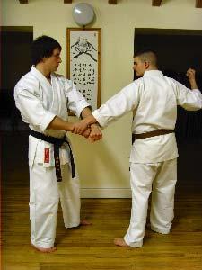 be used where possible during even this first stage of bunkai.