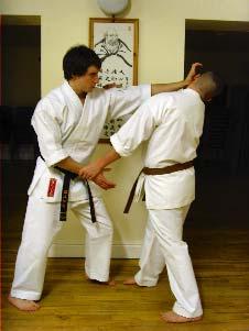 kata in any way, it just illustrates the human urge to adapt according to a