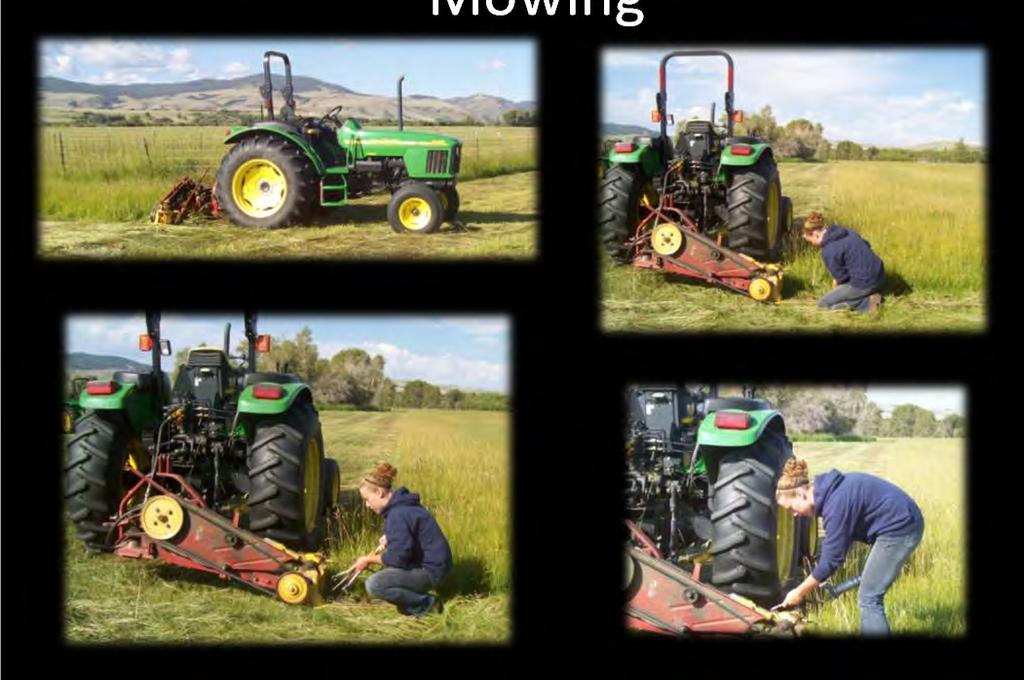 Mowing Maintenance is required every morning before a full